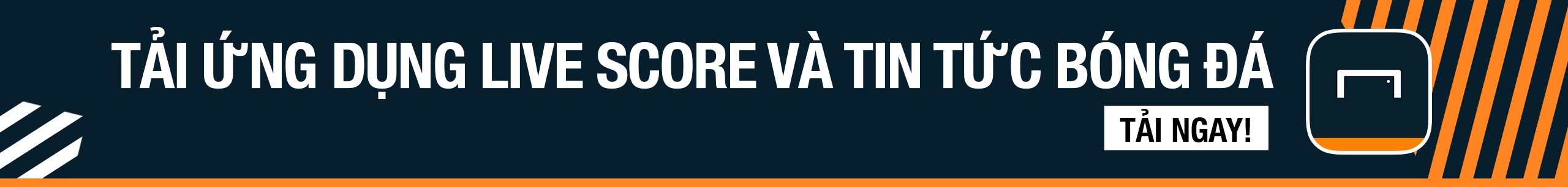 共获得了 共获得了