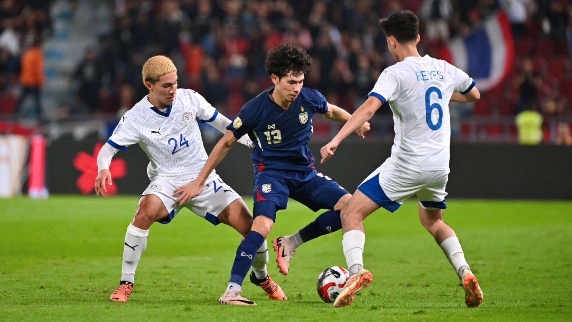 涯的最后一 涯的最后一