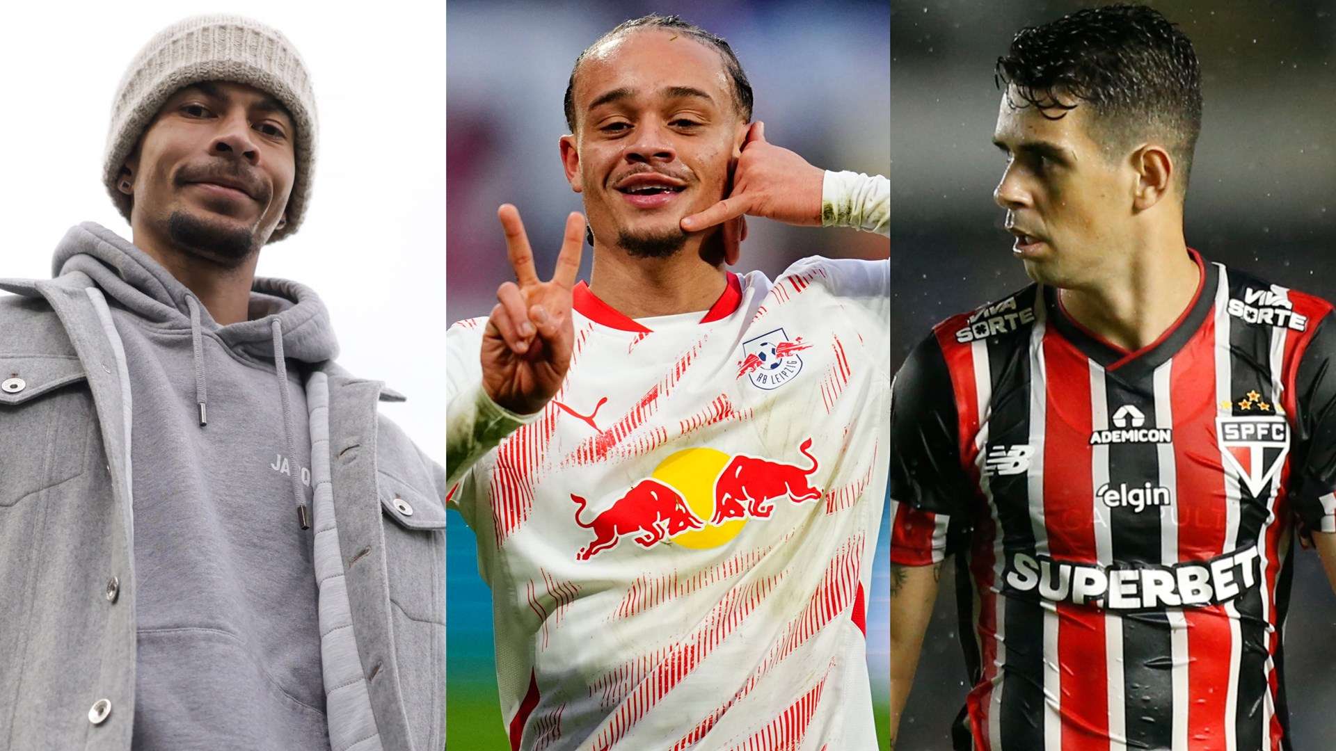 包括高蛋白 包括高蛋白