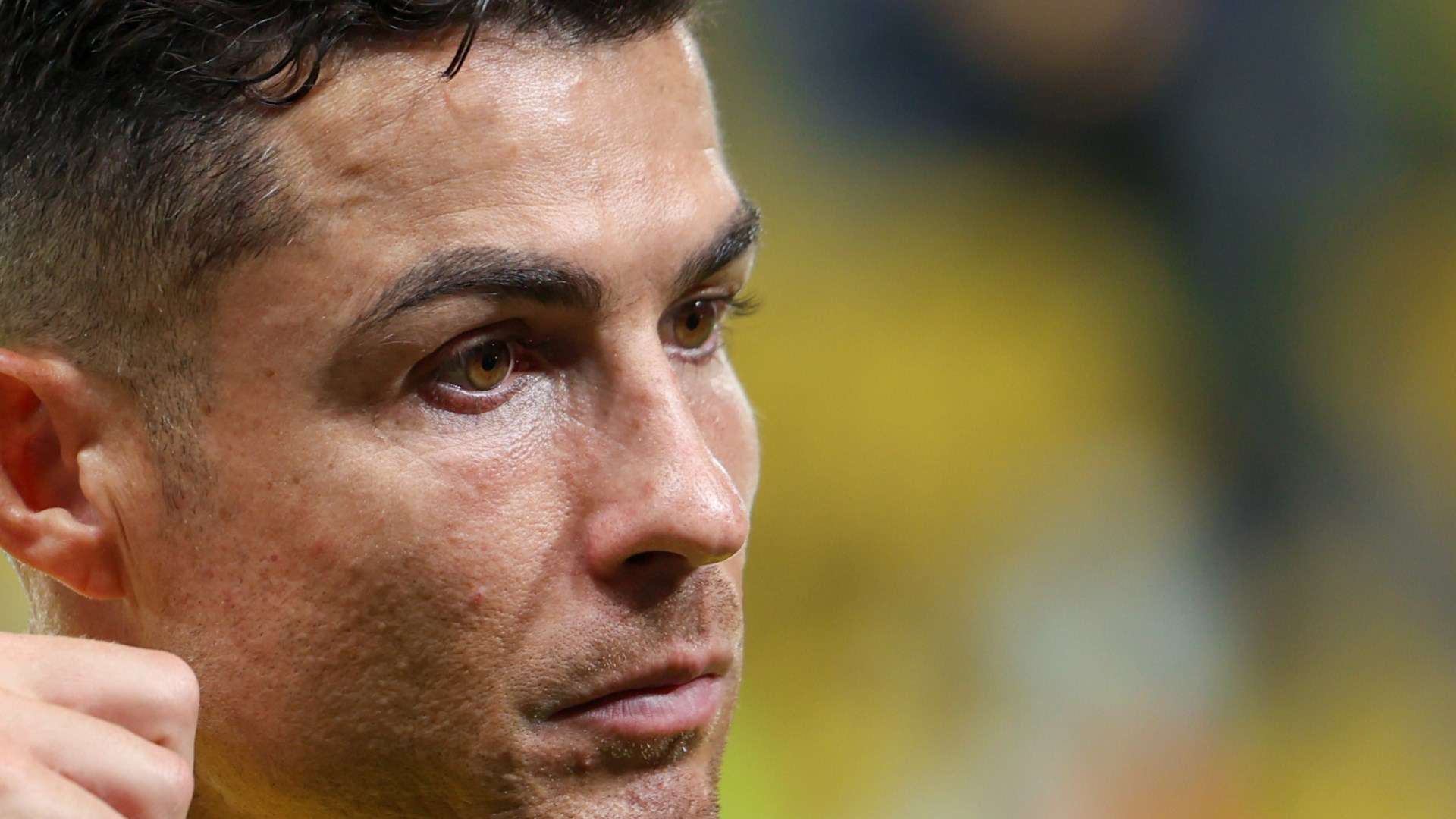 王哲林的健 王哲林的健